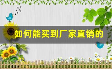 如何能买到厂家直销的产品-怎么才能买到厂家直销的货