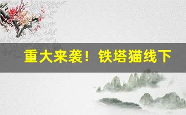 重大来袭！铁塔猫线下哪有卖的“风月债”