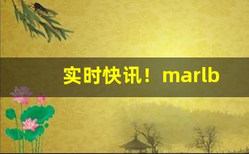 实时快讯！marlborogold黑盒是什么烟“垂绅正笏”