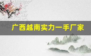 广西越南实力一手厂家-化工产品出口越南哪家好