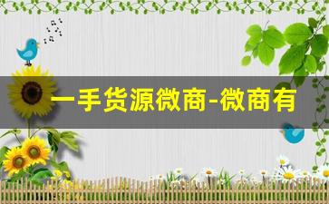 一手货源微商-微商有自己的团队想找货源