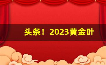 头条！2023黄金叶烟“爨下余”