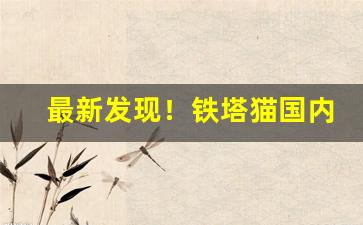最新发现！铁塔猫国内多少钱一包“福地洞天”