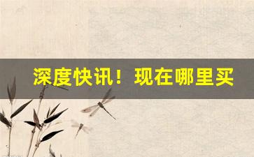 深度快讯！现在哪里买烟好“安身之处”