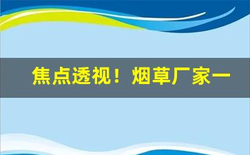 焦点透视！烟草厂家一手货源网站“侧足而立”