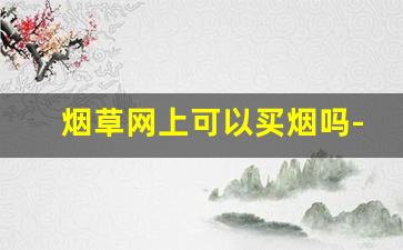 烟草网上可以买烟吗-烟草公司里面能买到烟吗
