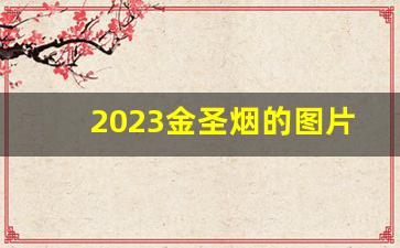 2023金圣烟的图片价格-金圣烟零售价格表大全