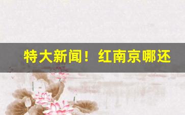 特大新闻！红南京哪还有卖的“凡偶近器”