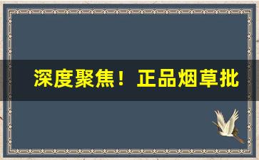 深度聚焦！正品烟草批发代理是您的最佳选择“高人一等”