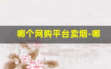 哪个网购平台卖烟-哪个实体店买烟最靠谱
