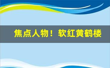 焦点人物！软红黄鹤楼批发“歌舞升平”