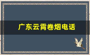 广东云霄卷烟电话