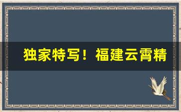 独家特写！福建云霄精香烟价格表“功成事立”