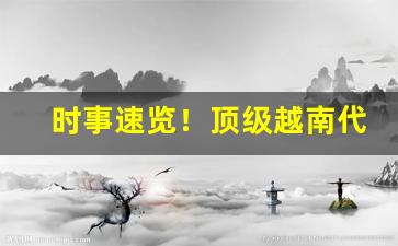 时事速览！顶级越南代工批发老厂商“涤故更新”