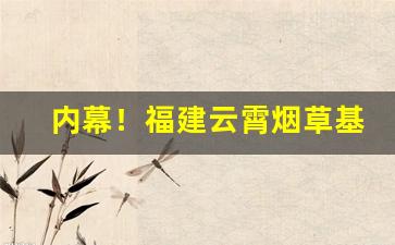 内幕！福建云霄烟草基地“才秀人微”