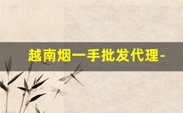 越南烟一手批发代理-越南烟最好卖图片及价格