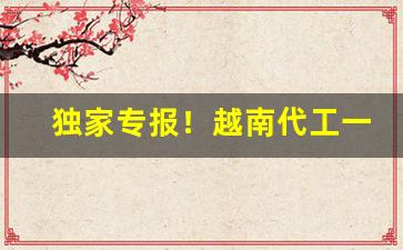 独家专报！越南代工一手货源原厂质量“分寸之功”