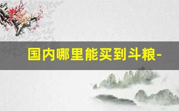 国内哪里能买到斗粮-上海哪里能买到斗粮