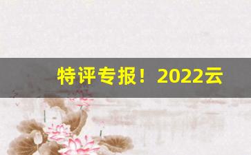 特评专报！2022云霄香烟批发货源网“彪炳史册”