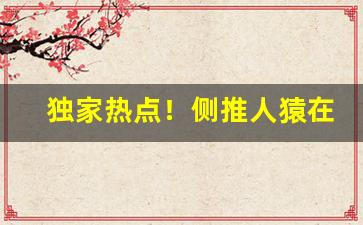 独家热点！侧推人猿在哪可以买“东张西觑”