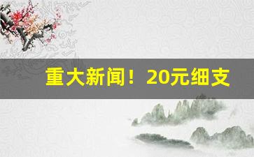 重大新闻！20元细支爆珠烟排行榜前十名“出头椽子”