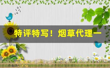 特评特写！烟草代理一级“璧坐玑驰”