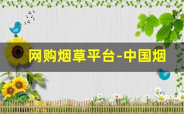 网购烟草平台-中国烟草官方正品折扣店