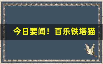 今日要闻！百乐铁塔猫在哪里买“废私立公”