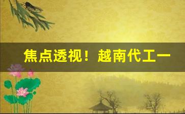 焦点透视！越南代工一手香烟货源“傍人篱落”