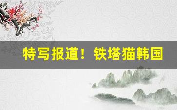 特写报道！铁塔猫韩国代购“博极群书”