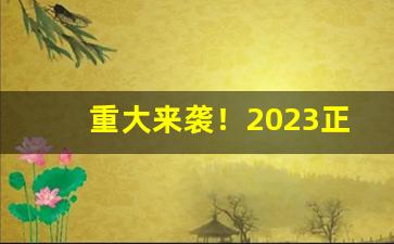 重大来袭！2023正品香烟批发零售网站“长安棋局”