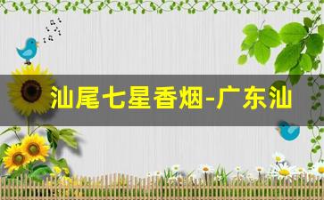 汕尾七星香烟-广东汕尾香烟品牌及价格