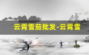 云霄雪茄批发-云霄雪茄价格查询