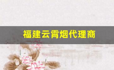 福建云霄烟代理商