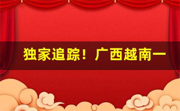 独家追踪！广西越南一手批发香烟“敌国通舟”