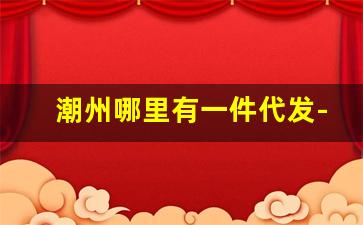 潮州哪里有一件代发-厦门一件代发去哪里拿货