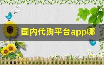 国内代购平台app哪个好用-代购平台app哪个好用排行榜第一名